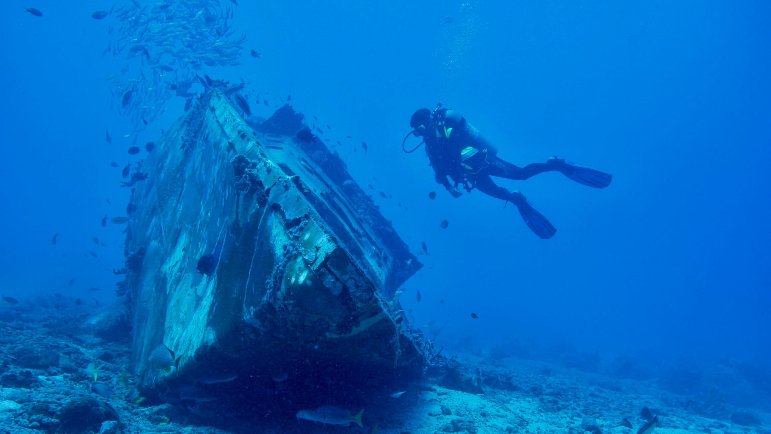Wreck Diving on the SS Montgomery