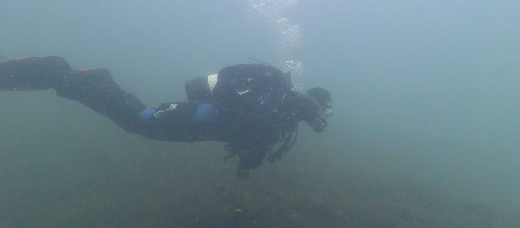 Diver in mid-water at Leybourne Lakes