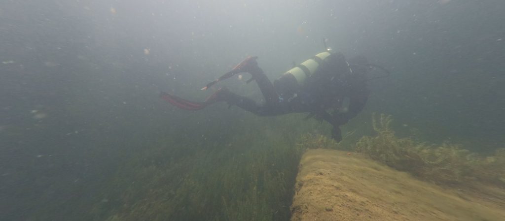 Diver gliding over the lakebed at Leybourne Lakes